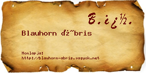 Blauhorn Ábris névjegykártya